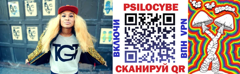 Галлюциногенные грибы Psilocybine cubensis  Вязьма 