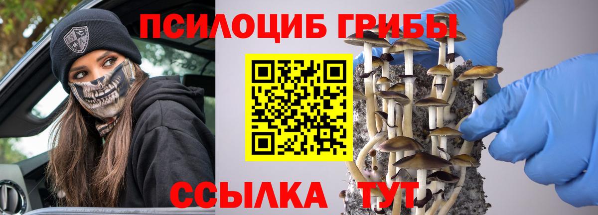 Вязьма  Галлюциногенные грибы GOLDEN TEACHER  Галлюциногенные грибы GOLDEN TEACHER  Вход с VPN 